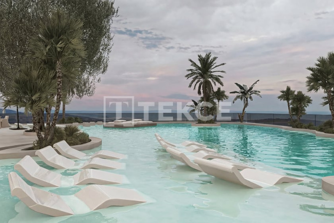 Wellness Focused Apartment in Downtown Jebel Ali photo 5