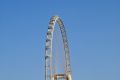 Ain Dubai Ferris Wheel
