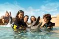 Dolphin Bay