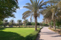 Ghaf Park