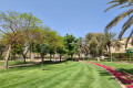 Mirdif Park