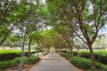 Sider Park
