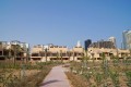 Jumeirah Islands Townhouses