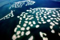 World Islands