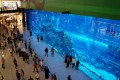 Dubai Aquarium