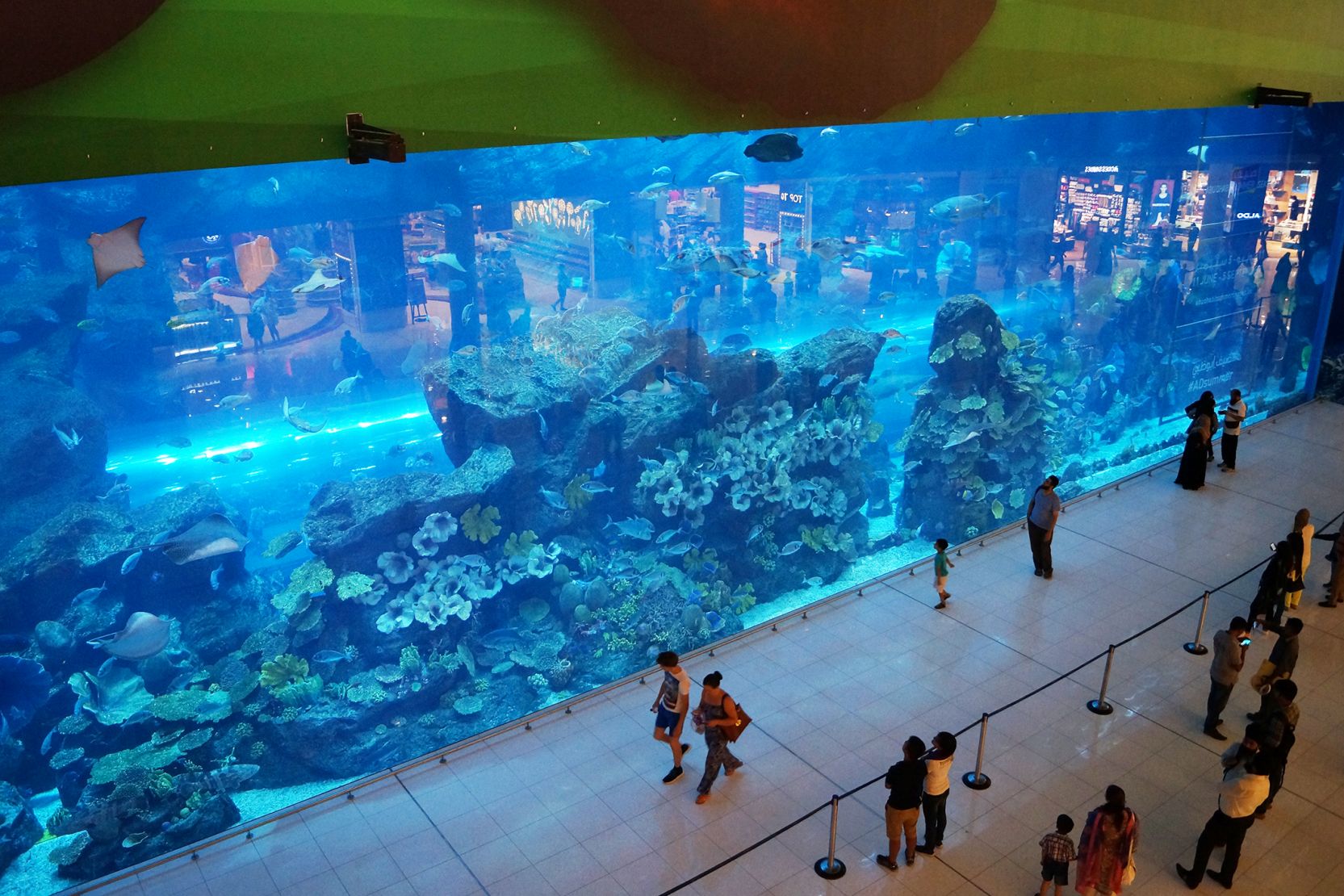 Dubai Aquarium Propsearch ae Dubai Aquarium Propsearch ae