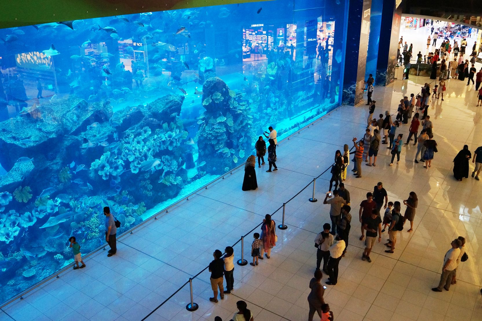 Dubai Aquarium Propsearch ae Dubai Aquarium Propsearch ae