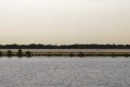 Ras Al Khor Wildlife Sanctuary