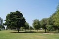 Safa Park