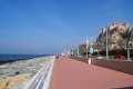 The Palm Boardwalk